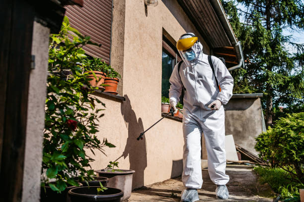 Best Ant Control Services  in Jefferson, NC