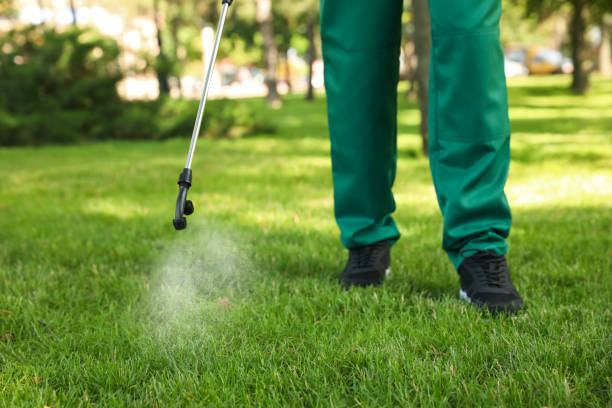 Best Pest Removal Services  in Jefferson, NC