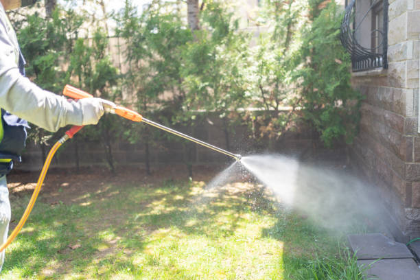 Best Flea Control Services  in Jefferson, NC